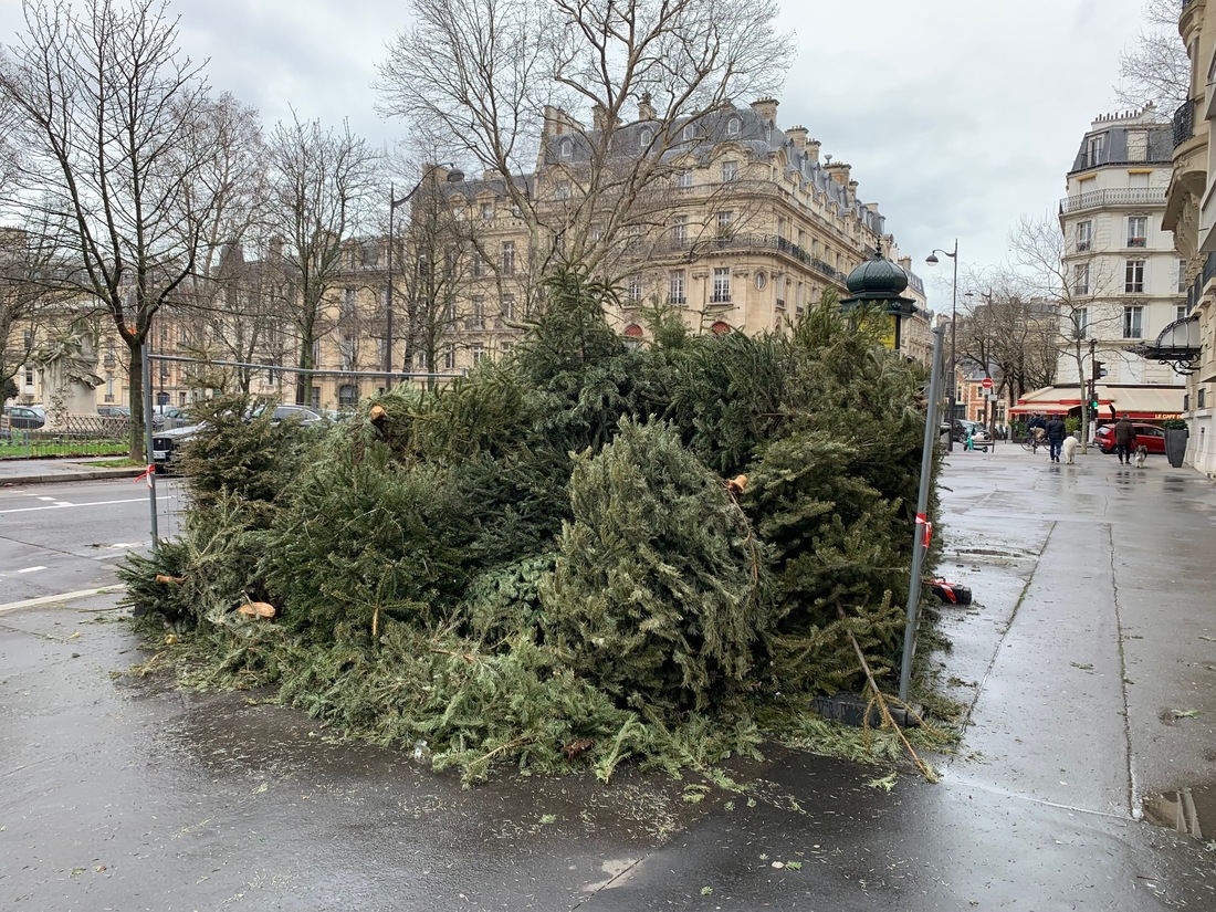 Que Faire De Son Sapin Apr S Les F Tes